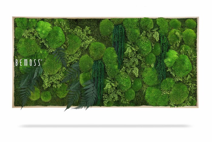 Een rechthoekig frame toont een weelderige verticale tuin met verschillende tinten en texturen van groen mos en gebladerte, waardoor een prachtige Mosschilderij PLANTEN Zorita ontstaat. Het woord 
