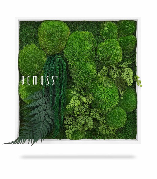 Een ingelijste verticale Mosschilderij PLANTEN Zorita toont een reeks weelderige groene planten en mossen gerangschikt in een geometrisch patroon. Op de linkerkant van het frame staat het woord 