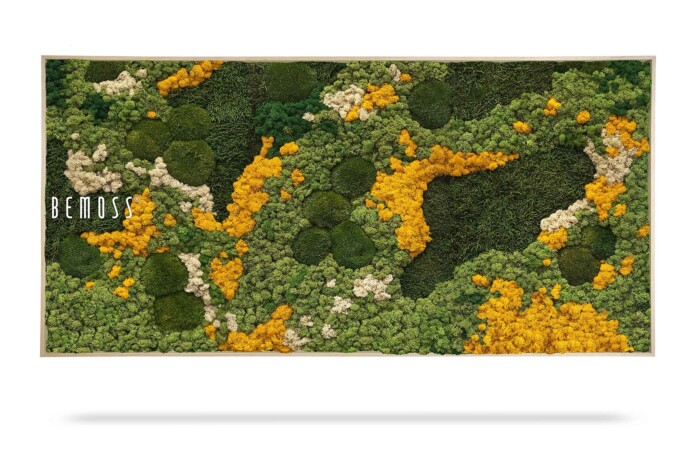 Een rechthoekig moskunstwerk aan de muur met verschillende tinten groen, geel en wit mosclusters. Op de linkerkant van het frame staat het woord 