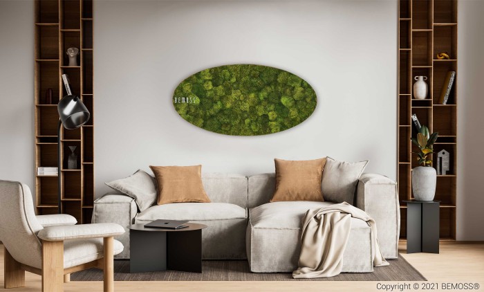 Een moderne woonkamer met een lichtgrijze bank, lichtbruine en witte kussens en een beige deken. Op de muur staat een ovale groene Mosschilderij Ellips SIBERIAN. Houten planken met boeken en decorartikelen omlijsten beide zijden van de bank. Naast de bank staat een zwarte vloerlamp.