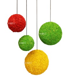 Vier gestructureerde bolvormige ornamenten hangen tegen een witte achtergrond. De ornamenten variëren in kleur en grootte: een rode, een gele en twee groene, elk hangend aan een zwart touwtje. Versierd met "BEMOSS", roepen ze de natuurlijke schoonheid van de moschilderijkunst op.