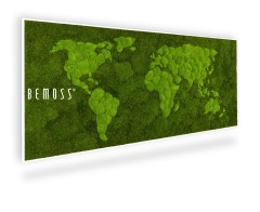 Een rechthoekig groen kunstwerk aan de muur met een wereldkaart gemaakt van mos. De continenten zijn duidelijk gevormd met verschillende tinten en texturen van mos, waardoor een natuurlijke en milieuvriendelijke esthetiek ontstaat. Aan de linkerkant staat in witte tekst de merknaam "BEMOSS" weergegeven, wat bijdraagt aan de unieke charme van deze BEMOSS moschilderij.