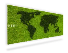 Een rechthoekige groene moschilderij met de wereldkaart in donkergroen mosreliëf staat tegen een witte achtergrond. Het woord "BEMOSS" staat in witte tekst op de linkerkant van het kunstwerk.
