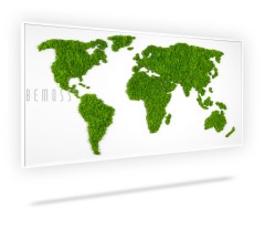 Een decoratief wandstuk met een wereldkaart gemaakt van groen mos tegen een witte achtergrond, waardoor een natuurlijke en gestructureerde uitstraling ontstaat. Het woord "BEMOSS" is subtiel aan de linkerkant van deze prachtige moswand geplaatst, waardoor kunst en natuur naadloos worden gecombineerd.