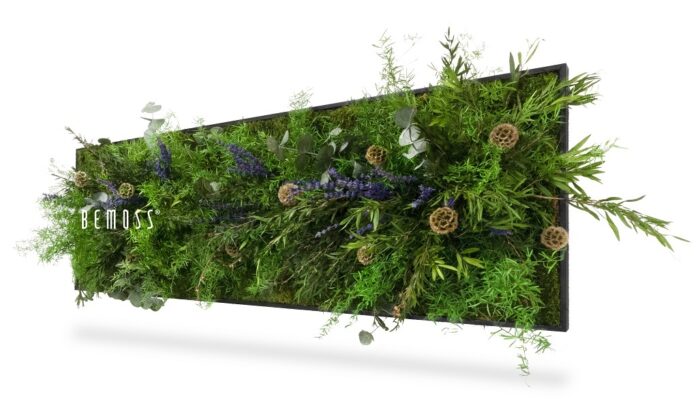 Een rechthoekige verticale tuininstallatie met diverse groene planten met paarse en lichtbruine accenten, gemonteerd aan de muur. Het woord 