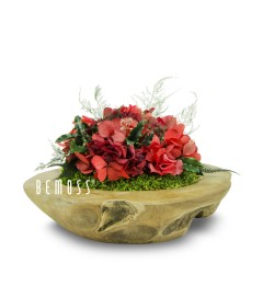 Een decoratief arrangement met rode hortensia's en groene bladeren in een ronde houten komvormige plantenbak. Op de linkerkant van de Teakhouten schaal Celada Ø30cm staat het logo "BEMOSS®" wat doet denken aan hun prachtige moschilderij creaties. De achtergrond is effen wit.