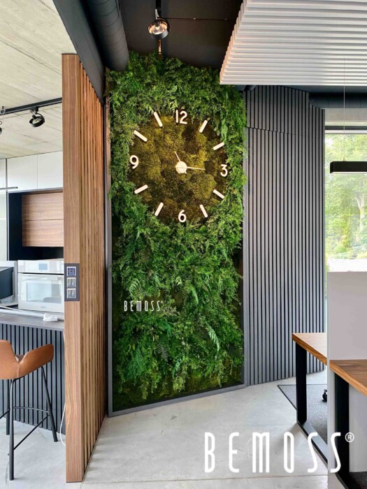 Click to view project – Plantenwand + klok