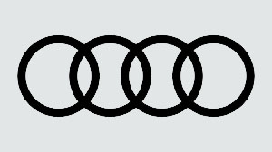 De afbeelding toont het logo van Audi, bestaande uit vier zwarte, in elkaar grijpende ringen die horizontaal op een lichtgrijze achtergrond zijn gerangschikt, wat doet denken aan de natuurlijke elegantie van een BEMOSS-mosschilderij.
