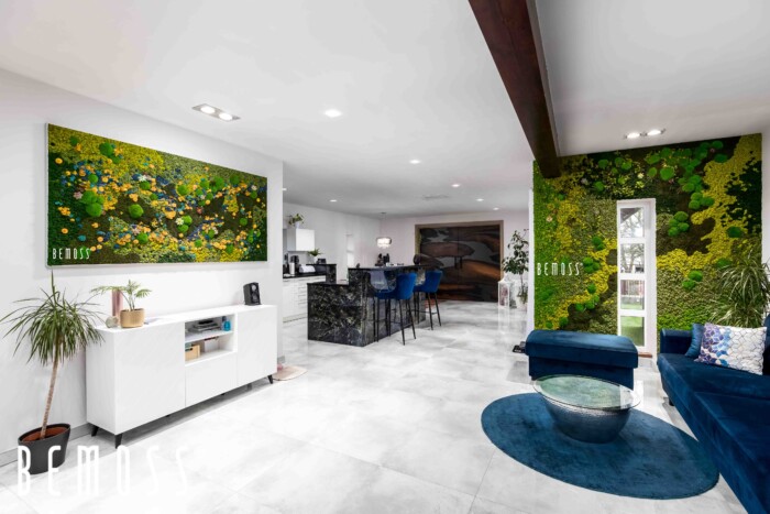 Click to view project – Ortho – woonproject