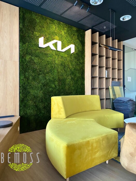 Click to view project – KIA – Flatmoss