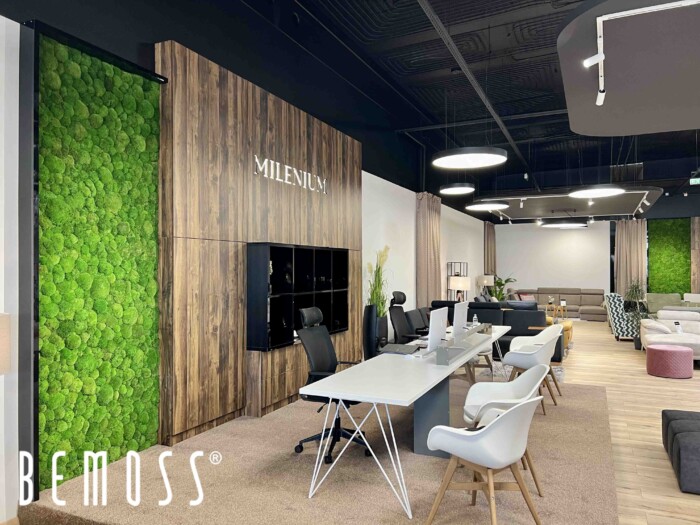 Click to view project – Milenium – bolmos