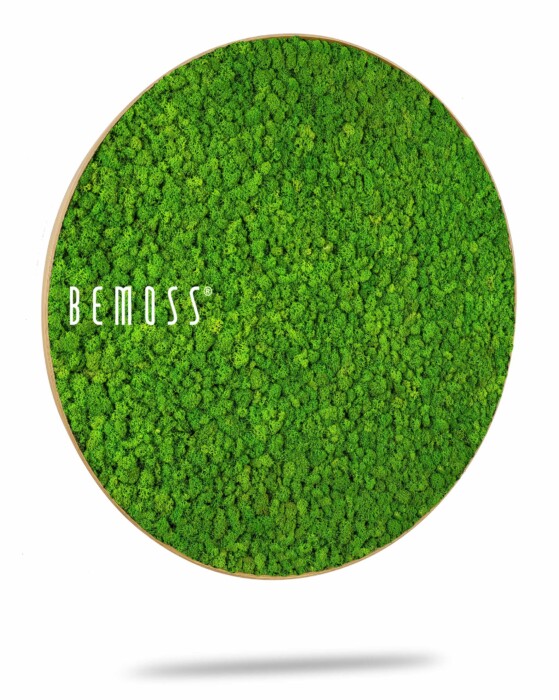 Een rond wanddecoratiestuk met een levendig, groen mosoppervlak ingesloten in een dun, lichtgekleurd frame. Het woord 