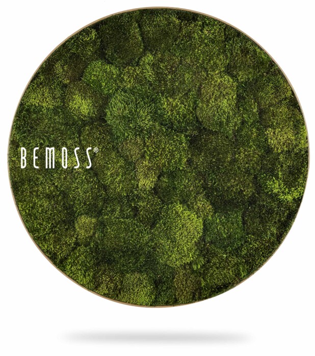 Een cirkelvormig kunstwerk aan de muur bedekt met verschillende tinten weelderig groen mos. Het woord 