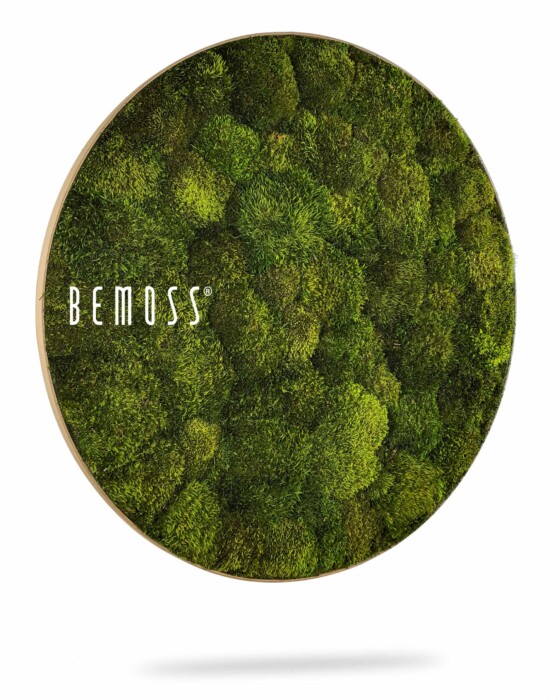 Een cirkelvormige wanddecoratie bedekt met dicht, levendig groen mos en omlijst door een dun, rond metalen frame. Het woord 