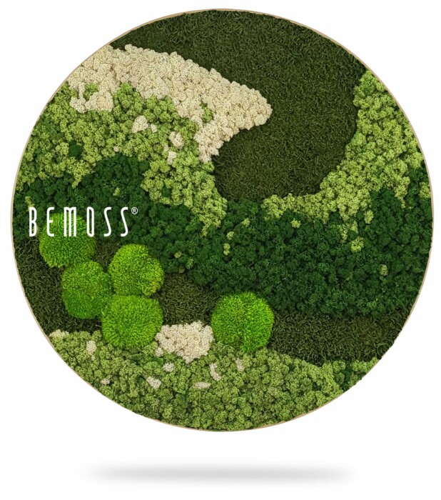 Een cirkelvormige Mosschilderij-cirkel BEMOSS® ORTHO TORRES, met een weelderig, groen landschap gemaakt van verschillende soorten en tinten geconserveerd mos. Het BEMOSS-mos toont een mix van licht- en donkergroen, met witte accenten, gerangschikt in een abstract structuurpatroon.