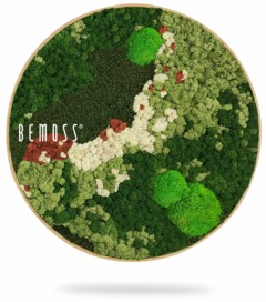 Een rond kunstwerk aan de muur met geconserveerd mos in verschillende tinten groen, wit en bruin. Het mos is gerangschikt in een abstract, natuurlijk landschapspatroon. Op de linkerkant van de cirkel staat de naam "BEMOSS" gedrukt. Dit Mosschilderij cirkel BEMOSS® ORTHO ICE kunstwerk hangt met een schaduw eronder.