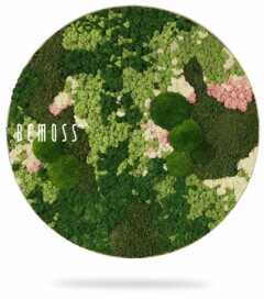 Een Mosschilderij cirkel BEMOSS® ORTHO PINK gevuld met verschillende tinten groen mos gerangschikt in een natuurlijk, organisch patroon, afgewisseld met lichtroze vlekken en gelegen op een spierwitte achtergrond. Het woord "BEMOSS" staat in het wit geschreven aan de linkerkant van de cirkel.