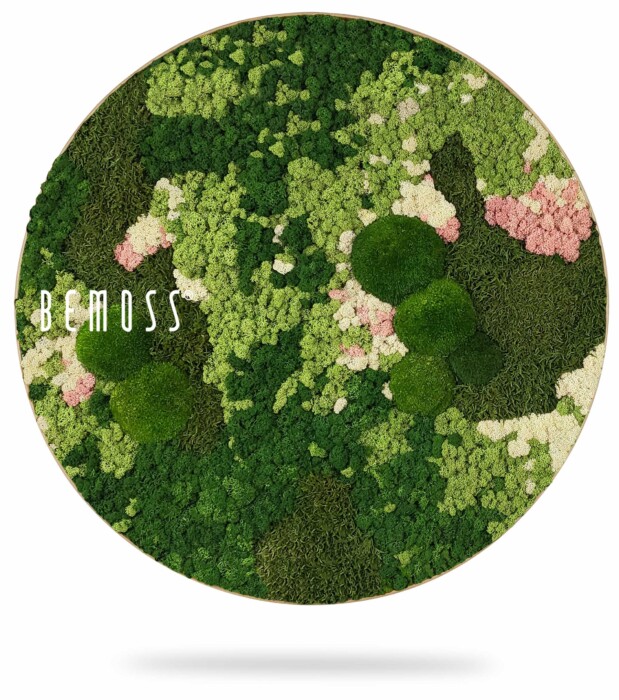 Een Mosschilderij cirkel BEMOSS® ORTHO PINK gevuld met verschillende tinten groen mos gerangschikt in een natuurlijk, organisch patroon, afgewisseld met lichtroze vlekken en gelegen op een spierwitte achtergrond. Het woord 