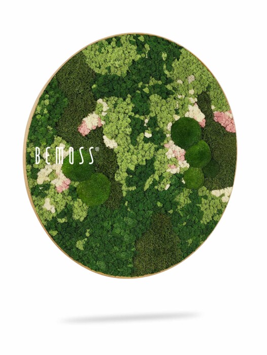Een cirkelvormige Mosschilderij-cirkel BEMOSS® ORTHO PINK met verschillende tinten bewaard groen mos en lichtroze vlekken. Het stuk is gemerkt met het woord 