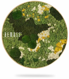 Deze Mosschilderij-cirkel BEMOSS® ORTHO ICE, een rond wanddecorstuk van BEMOSS, heeft verschillende tinten groen, geel en wit geconserveerd mos, gerangschikt om een weelderige, abstracte bosbodem na te bootsen. Het BEMOSS-logo bevindt zich aan de linkerkant van de moscirkel. De cirkel lijkt opgehangen met een schaduw eronder.