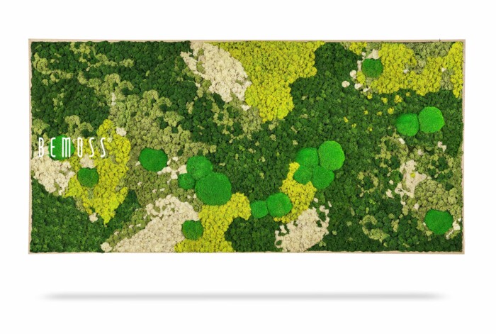 Een rechthoekig kunstwerk aan de muur, vervaardigd als Mosschilderij BEMOSS® ORTHO SPRING, toont verschillende soorten geconserveerd mos in de kleuren groen, geel en wit. Het woord 