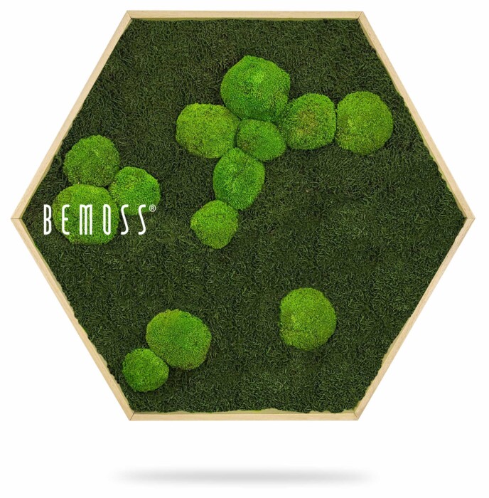 Een zeshoekig frame toont een groen moskunstwerk met ronde mosclusters van verschillende grootte, gerangschikt in een abstract patroon. Het woord 