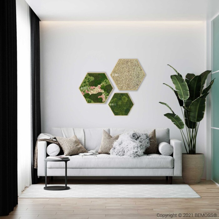 Een moderne woonkamer met een witte bank versierd met kussens, een klein rond zwart bijzettafeltje en een hoge groene bladplant. Aan de witte muur boven de bank hangen drie zeshoekige BEMOSS moschilderij wandkunstwerken met groene en beige texturen.