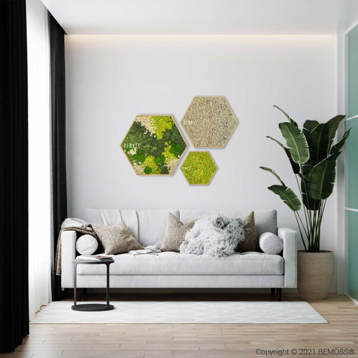 Minimalistische woonkamer met een witte bank versierd met verschillende kussens, een klein zwart bijzettafeltje en een wit vloerkleed op een houten vloer. Drie zeshoekige BEMOSS-mosschilderijstukken hebben groene bladeren en mosontwerpen. Rechts van de bank staat een hoge plant.