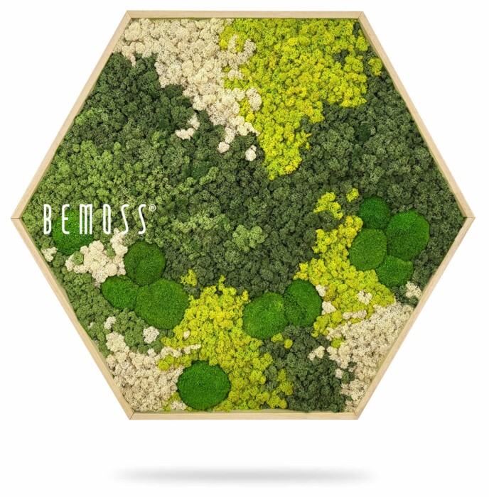 Een zeshoekig houten frame is gevuld met verschillende tinten geconserveerd mos, waaronder groen, limoen en crème. Het woord 