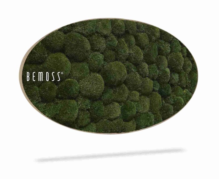 Het Mosschilderij Ellips BOLMOSS Natural is een ovaal wandstuk met een structuur van groen mos in geclusterde patronen, met aan de linkerkant in het wit de tekst 