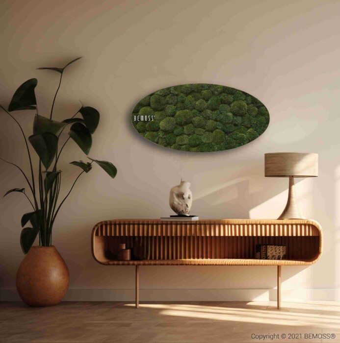 Een moderne woonkamer met een houten consoletafel, potplant en tafellamp. Boven de tafel hangt de ovale 