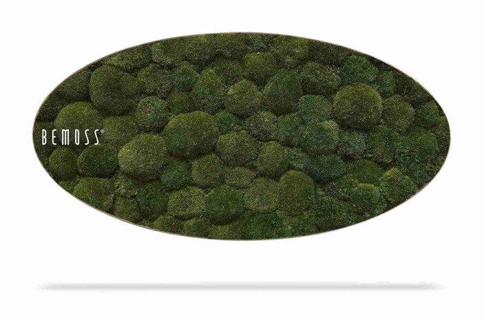 Het Mosschilderij Ellips BOLMOSS Natural is een ovaal verticaal tuinpaneel gevuld met dicht groen mos, met gladde randen en de tekst 