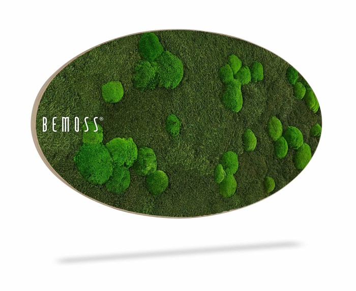 Een ovaalvormig object is voorzien van het BEMOSS-logo en is bedekt met een dichte, groene, mosachtige textuur met clusters van verschillende grootte. Er zit een schaduw onder, wat het zwevende uiterlijk versterkt tegen een effen witte achtergrond die doet denken aan een abstracte Mosschilderij Ellips FLATMOSS.
