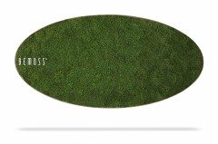 Een groen ovaalvormig vloerkleed met een textuur die lijkt op gras en het woord "Mosschilderij Ellips FLATMOSS" in wit gedrukt op de linkerkant. Het ontwerp doet denken aan een Mosschilderij Ellips FLATMOSS en voegt een natuurlijk tintje toe aan elke kamer. Een schaduw onder het tapijt geeft aan dat het iets boven het oppervlak ligt.