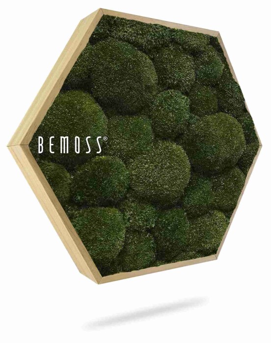Zeshoekig houten frame gevuld met groene mosballen van verschillende groottes, met het merk 
