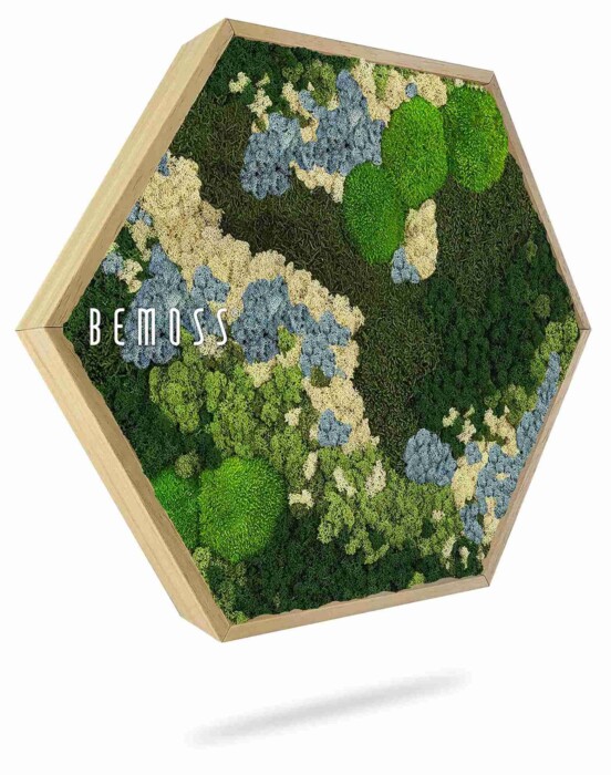 De Mosschilderij cirkel BEMOSS® ORTHO ICE heeft een zeshoekig houten frame gevuld met geconserveerd mos in groene, blauwe en crème tinten, met 