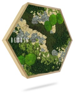 Een zeshoekig wanddecoratiestuk met een mix van groen, beige en grijs geconserveerd mos, gerangschikt in een abstract patroon. Het houten frame toont trots het woord "Moshexagon BEMOSS® ORTHO ICE" aan de linkerkant, waardoor een uniek moswand-kunstwerk ontstaat.