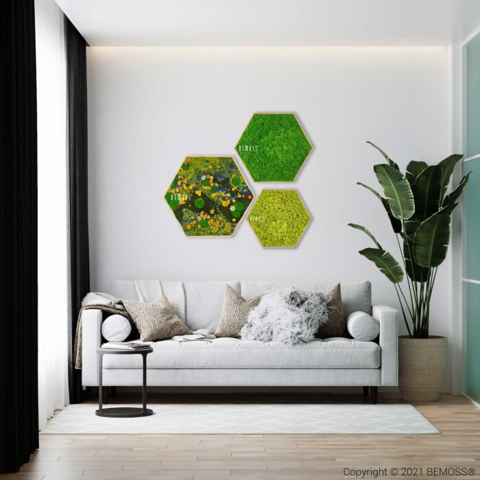 Een moderne woonkamer met een witte bank versierd met diverse kussens, een klein rond zwart bijzettafeltje en een grote potplant. Boven de bank zijn drie Moshexagon BEMOSS® ORTHO TORRES stukken opgesteld. De kamer heeft een minimalistische inrichting en kamerhoge gordijnen.