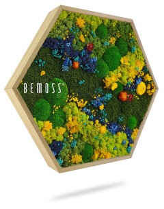 Een zeshoekige Moshexagon BEMOSS® ORTHO TORRES van Bemoss bevat een weelderig, kleurrijk arrangement van geconserveerd mos en bloemen in de kleuren groen, blauw, geel en blauwgroen. De levendige vegetatie geeft het uiterlijk van een miniatuurtuin.