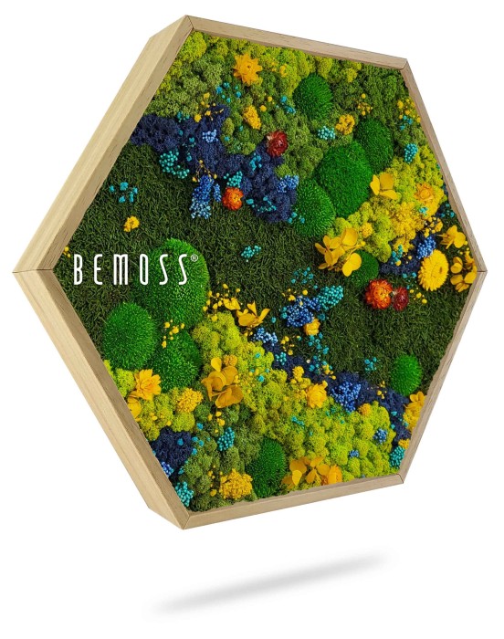 Een zeshoekige Moshexagon BEMOSS® ORTHO TORRES van Bemoss bevat een weelderig, kleurrijk arrangement van geconserveerd mos en bloemen in de kleuren groen, blauw, geel en blauwgroen. De levendige vegetatie geeft het uiterlijk van een miniatuurtuin.