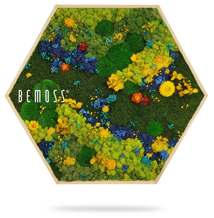 Een zeshoekig frame is gevuld met een levendig arrangement van bewaard gebleven mos en bloemen, met tinten groen, blauw, geel en oranje. Het ontwerp is weelderig en kleurrijk, met een logo aan de linkerkant met de tekst 