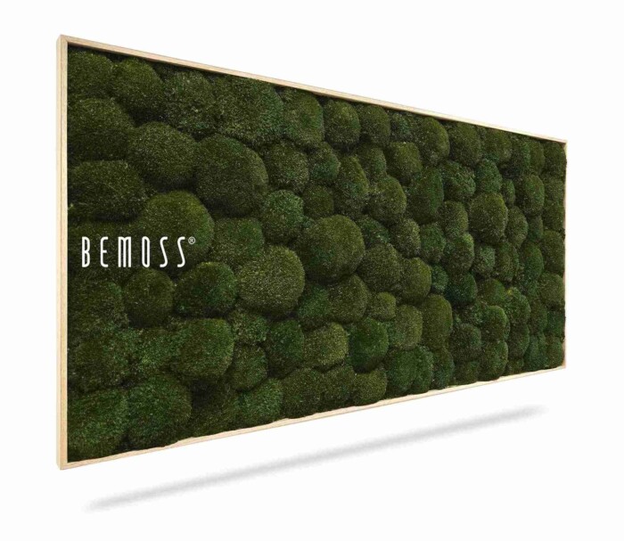 Het Mosschilderij Ellips BOLMOSS Natural is een rechthoekig paneel met bolvormige, groene mosarrangementen met een weelderige textuur en het woord 