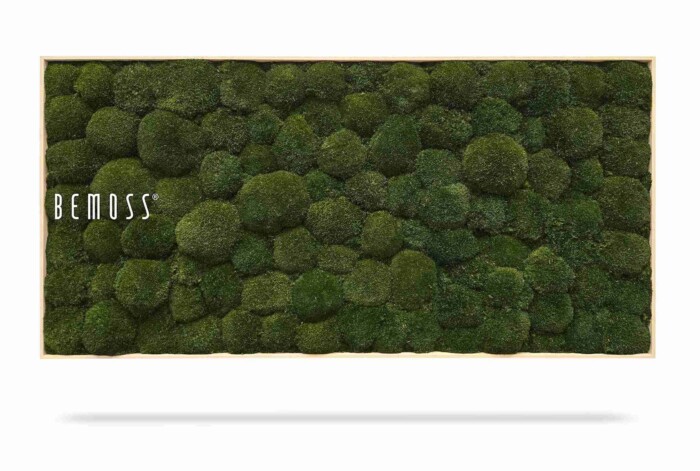Een rechthoekig frame met een weelderig textuurpatroon van groene mos tinten is gelabeld met 