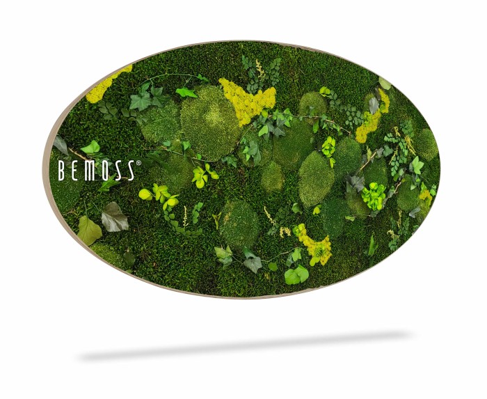 Een ovaalvormige Mosschilderij Ellips FLATMOSS met groen mos en kleine plantjes met een mix van gele accenten. Dit Moswand-kunstwerk is gemerkt met 