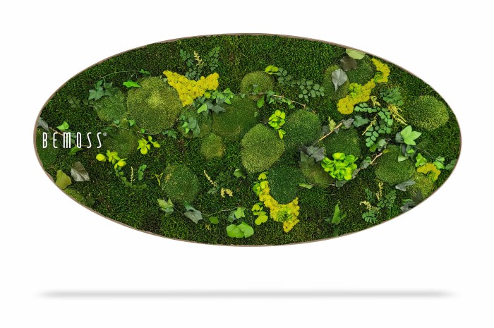 Een ovale wanddecoratie bedekt met verschillende soorten geconserveerd groen mos, met vlekken van levendig geel en groen blad. Het ontwerp geeft een weelderige, natuurlijke uitstraling. Aan de linkerkant van de moswand staat het woord 