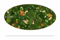 Een ovaalvormige Mosschilderij Ellips FLATMOSS met weelderig groen mos met rode, oranje en beige bloemachtige elementen ertussen. Aan de linkerkant van het decor is subtiel het woord "BEMOSS" geplaatst. Dit prachtige stuk werpt een vage schaduw eronder.