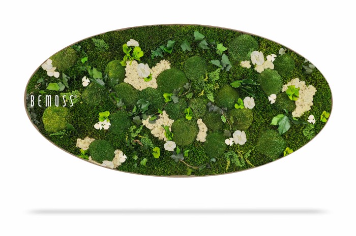 Een ovaalvormig ingelijst kunstwerk, bekend als Mosschilderij Ellips FLATMOSS, toont een weelderig arrangement van verschillende soorten mos, groene planten en kleine witte bloemen. Het kunstwerk heeft een natuurlijk en levendig groen kleurenpalet en is gelabeld met de tekst 