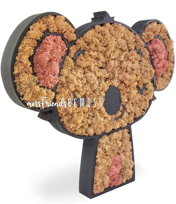 Een decoratief item gemaakt van geconserveerd mos, in de vorm van een cartoonteddybeer met roze en bruine mosvlekken. De beer staat rechtop. Op het gezicht van de beer staat de tekst 