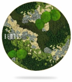 Een ronde, ingelijste Mosschilderij-cirkel BEMOSS® ORTHO ICE heeft verschillende tinten groen, wit en grijs gerangschikt in een abstract patroon. Het woord "BEMOSS" staat op de linkerkant van het kunstwerk geschreven. Dit prachtige moswand-stuk hangt en werpt een schaduw eronder.