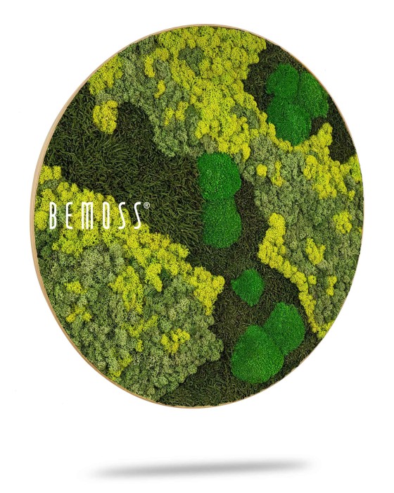 Rond wandkunstwerk met een mix van geconserveerd groen mos in verschillende texturen en tinten. Het arrangement, gemarkeerd met de tekst 